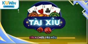 Cách Chơi Tài Xỉu Kuwin Chi Tiết Từ Cơ Bản Đến Nâng Cao